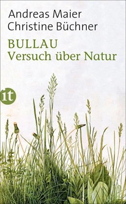 Abbildung von Maier / Büchner | Bullau | 1. Auflage | 2017 | beck-shop.de