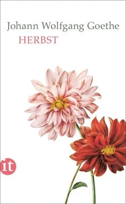 Abbildung von Goethe / Mayer | Herbst | 1. Auflage | 2017 | beck-shop.de