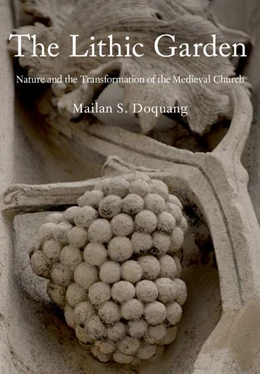 Abbildung von Doquang | The Lithic Garden | 1. Auflage | 2018 | beck-shop.de