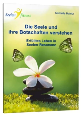 Abbildung von Haintz | Die Seele und ihre Botschaften verstehen | 1. Auflage | 2017 | beck-shop.de