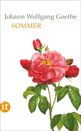 Abbildung von Goethe / Mayer | Sommer | 1. Auflage | 2018 | beck-shop.de