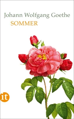 Abbildung von Goethe / Mayer | Sommer | 1. Auflage | 2018 | beck-shop.de