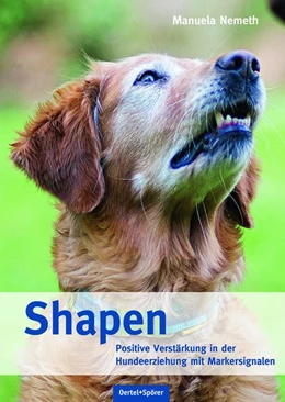Abbildung von Nemeth | Shapen | 1. Auflage | 2018 | beck-shop.de