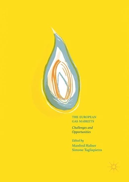 Abbildung von Hafner / Tagliapietra | The European Gas Markets | 1. Auflage | 2017 | beck-shop.de