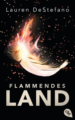 Abbildung von Destefano | Flammendes Land | 1. Auflage | 2018 | beck-shop.de