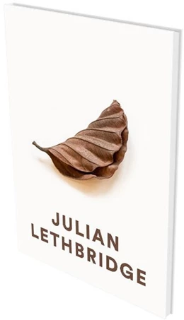 Abbildung von Storr | Julian Lethbridge | 1. Auflage | 2018 | beck-shop.de