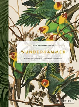 Abbildung von Demeulemeester | Wunderkammer | 1. Auflage | 2018 | beck-shop.de