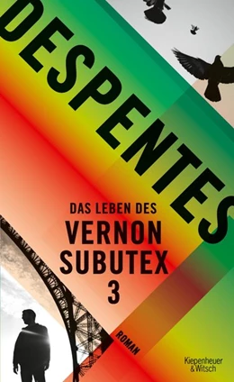Abbildung von Despentes | Das Leben des Vernon Subutex 3 | 1. Auflage | 2018 | beck-shop.de