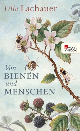 Abbildung von Lachauer | Von Bienen und Menschen | 1. Auflage | 2018 | beck-shop.de