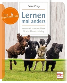Abbildung von Krivy | Lernen - mal anders | 1. Auflage | 2020 | beck-shop.de