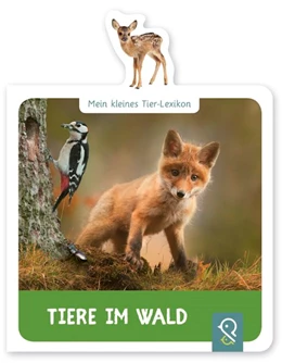 Abbildung von Kastenhuber | Mein kleines Tier-Lexikon - Tiere im Wald | 1. Auflage | 2018 | beck-shop.de