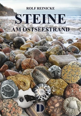 Abbildung von Reinicke | Steine am Ostseestrand | 6. Auflage | 2018 | beck-shop.de