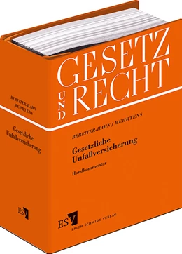 Abbildung von Mehrtens / Bereiter-Hahn | Gesetzliche Unfallversicherung • ohne Aktualisierungsservice | 1. Auflage | 2024 | beck-shop.de