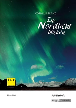 Abbildung von Franz / Matt | Ins Nordlicht blicken | 1. Auflage | 2017 | beck-shop.de