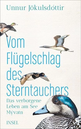 Abbildung von Jökulsdóttir | Vom Flügelschlag des Sterntauchers | 1. Auflage | 2019 | beck-shop.de
