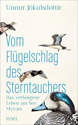 Abbildung von Jökulsdóttir | Vom Flügelschlag des Sterntauchers | 1. Auflage | 2019 | beck-shop.de