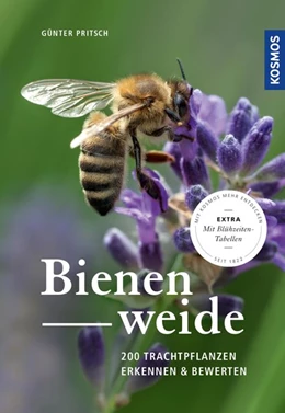 Abbildung von Pritsch | Bienenweide | 1. Auflage | 2018 | beck-shop.de