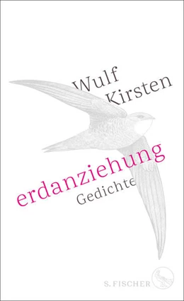 Abbildung von Kirsten | Erdanziehung | 2. Auflage | 2019 | beck-shop.de