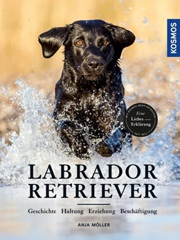 Abbildung von Möller | Labrador Retriever | 1. Auflage | 2020 | beck-shop.de