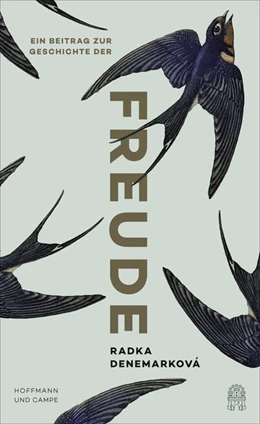 Abbildung von Denemarková | Ein Beitrag zur Geschichte der Freude | 1. Auflage | 2019 | beck-shop.de