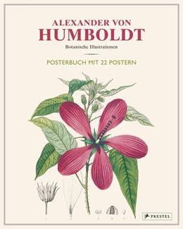 Abbildung von Baume | Alexander von Humboldt: Botanische Illustrationen. Posterbuch mit 22 Postern | 1. Auflage | 2019 | beck-shop.de