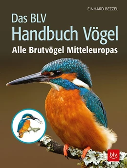 Abbildung von Bezzel | Das BLV Handbuch Vögel | 1. Auflage | 2019 | beck-shop.de