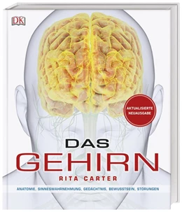 Abbildung von Carter | Das Gehirn | 1. Auflage | 2019 | beck-shop.de