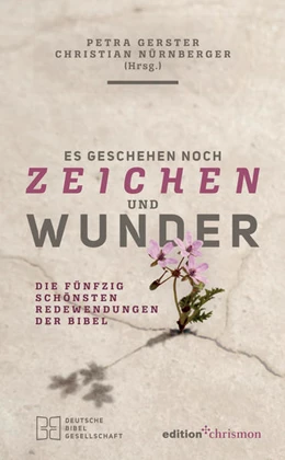 Abbildung von Gerster / Nürnberger | Es geschehen noch Zeichen und Wunder | 2. Auflage | 2020 | beck-shop.de