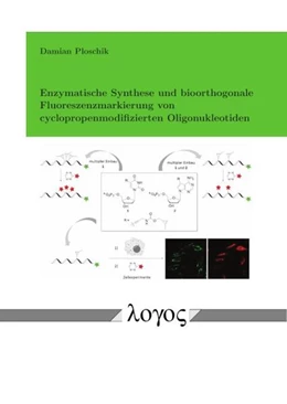 Abbildung von Ploschik | Enzymatische Synthese und bioorthogonale Fluoreszenzmarkierung von cyclopropenmodifizierten Oligonukleotiden | 1. Auflage | 2018 | beck-shop.de