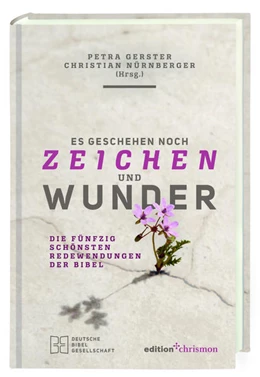 Abbildung von Gerster / Nürnberger | Es geschehen noch Zeichen und Wunder | 1. Auflage | 2019 | beck-shop.de