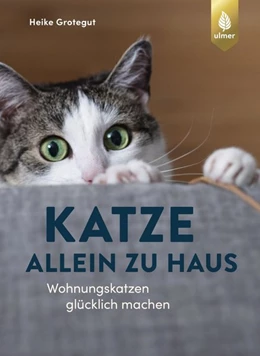 Abbildung von Grotegut | Katze allein zu Haus | 1. Auflage | 2019 | beck-shop.de