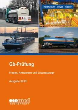 Abbildung von Holzhäuser / Ridder | Gb-Prüfung | 14. Auflage | 2019 | beck-shop.de