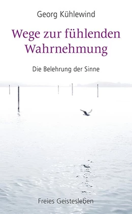 Abbildung von Kühlewind | Wege zur fühlenden Wahrnehmung | 1. Auflage | 2019 | beck-shop.de