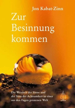 Abbildung von Kabat-Zinn | Zur Besinnung kommen | 1. Auflage | 2018 | beck-shop.de