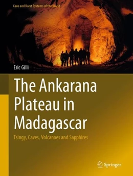 Abbildung von Gilli | The Ankarana Plateau in Madagascar | 1. Auflage | 2019 | beck-shop.de