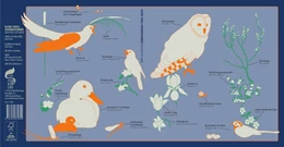Abbildung von Kleine Vogel-Wunderkammer | 1. Auflage | 2019 | beck-shop.de
