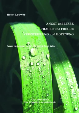 Abbildung von Leuwer | Nun erkenne, wer Du wirklich bist | 1. Auflage | 2018 | beck-shop.de