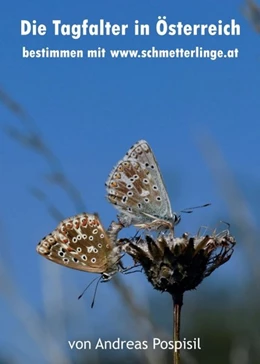 Abbildung von Pospisil | Die Tagfalter Österreichs bestimmen | 1. Auflage | 2019 | beck-shop.de