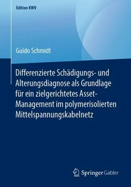 Abbildung von Schmidt | Differenzierte Schädigungs- und Alterungsdiagnose als Grundlage für ein zielgerichtetes Asset-Management im polymerisolierten Mittelspannungskabelnetz | 1. Auflage | 2019 | beck-shop.de
