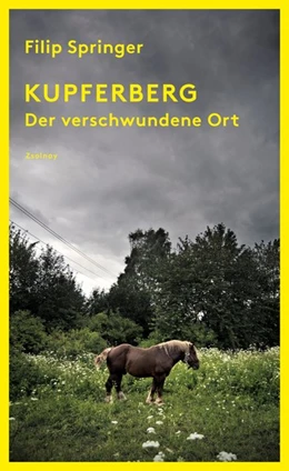 Abbildung von Springer | Kupferberg | 1. Auflage | 2019 | beck-shop.de