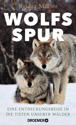 Abbildung von Müller | Wolfsspur | 1. Auflage | 2019 | beck-shop.de