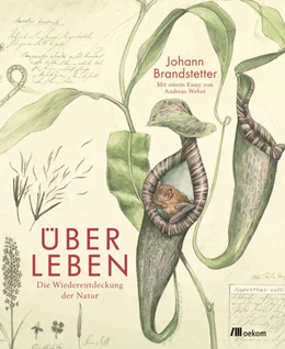 Abbildung von Brandstetter / Weber | Über Leben | 1. Auflage | 2019 | beck-shop.de