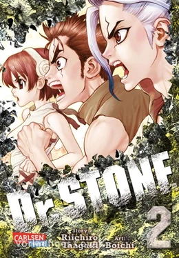 Abbildung von Boichi / Inagaki | Dr. Stone 2 | 1. Auflage | 2019 | beck-shop.de