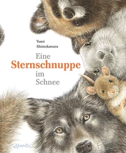 Abbildung von Shimokawara | Eine Sternschnuppe im Schnee | 1. Auflage | 2019 | beck-shop.de