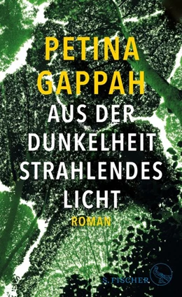 Abbildung von Gappah | Aus der Dunkelheit strahlendes Licht | 1. Auflage | 2019 | beck-shop.de