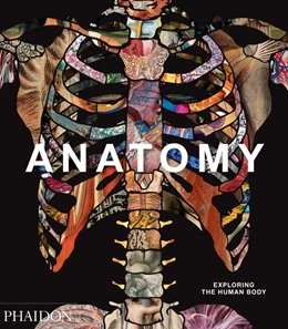 Abbildung von Anatomy: Exploring the Human Body | 1. Auflage | 2019 | beck-shop.de