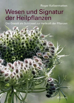 Abbildung von Kalbermatten | Wesen und Signatur der Heilpflanzen | 12. Auflage | 2019 | beck-shop.de