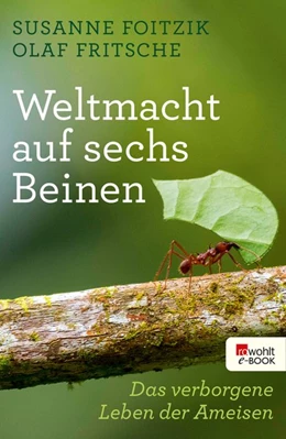 Abbildung von Foitzik / Fritsche | Weltmacht auf sechs Beinen | 1. Auflage | 2019 | beck-shop.de