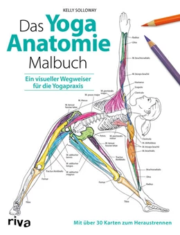Abbildung von Solloway / Stutzman | Das Yoga-Anatomie-Malbuch | 1. Auflage | 2019 | beck-shop.de
