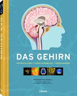 Abbildung von Ashwell | Das Gehirn | 1. Auflage | 2019 | beck-shop.de